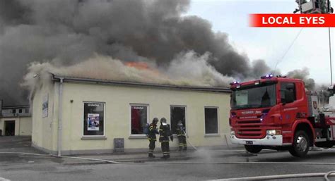 brand ringsted